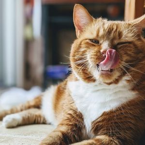 Meet your Posher, Isabelle